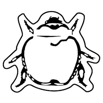 Magnet - Bug - Full Color